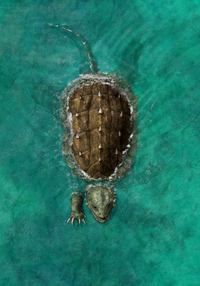 Dragon Turtle