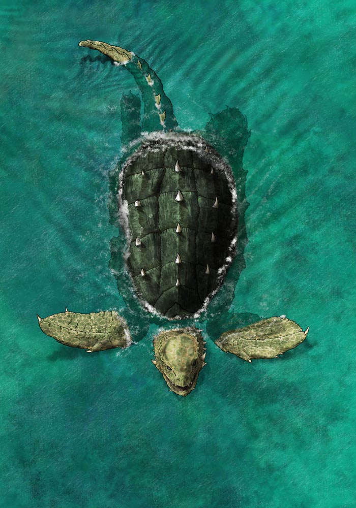 Dragon Turtle