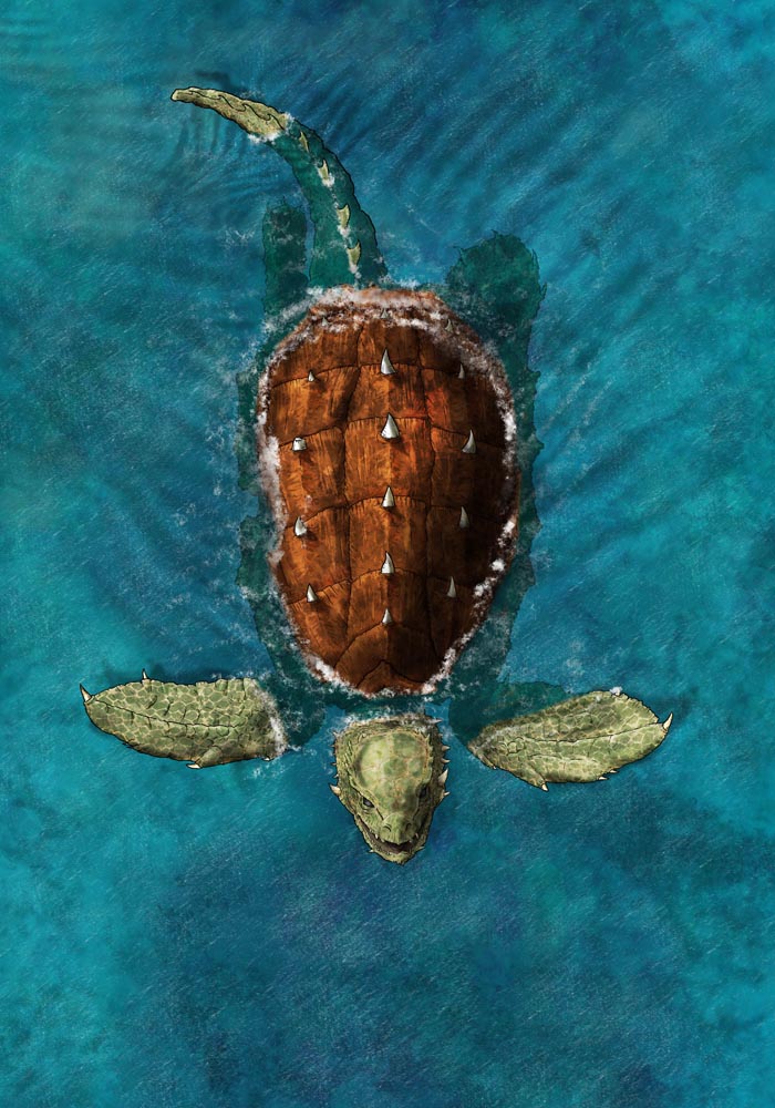 Dragon Turtle