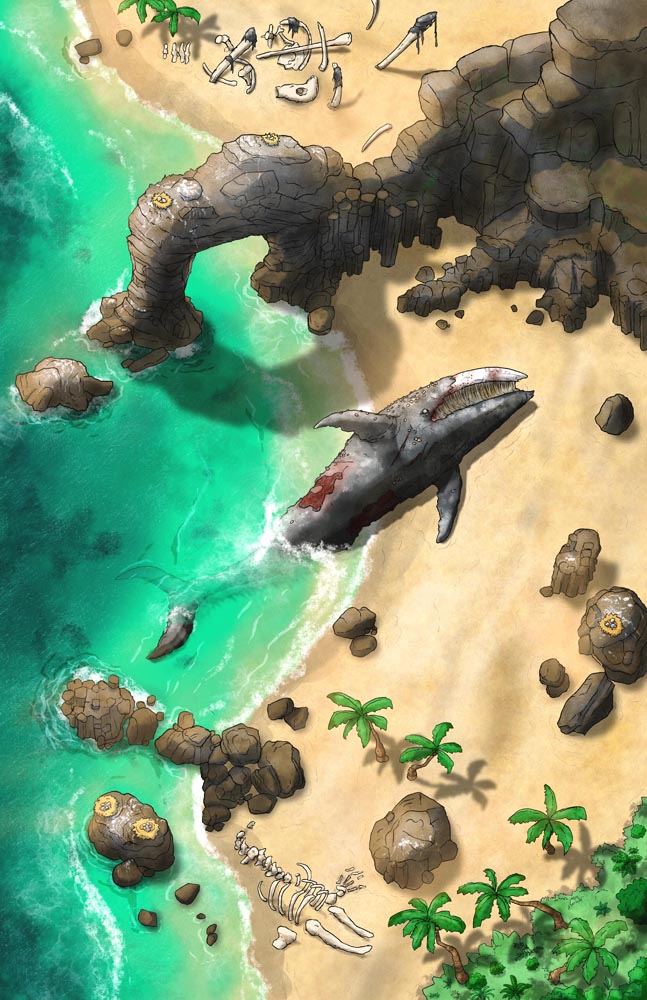 Hangman's Beach & Whale Graveyard