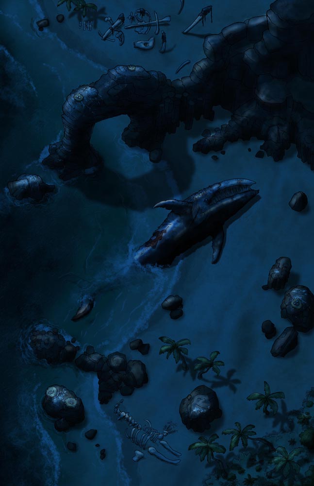 Hangman's Beach & Whale Graveyard