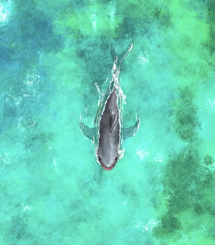 Megalodon Sahuagin Warship