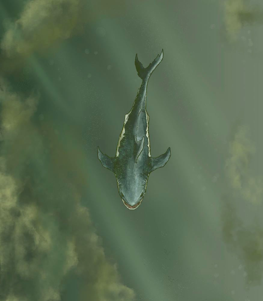 Megalodon Sahuagin Warship