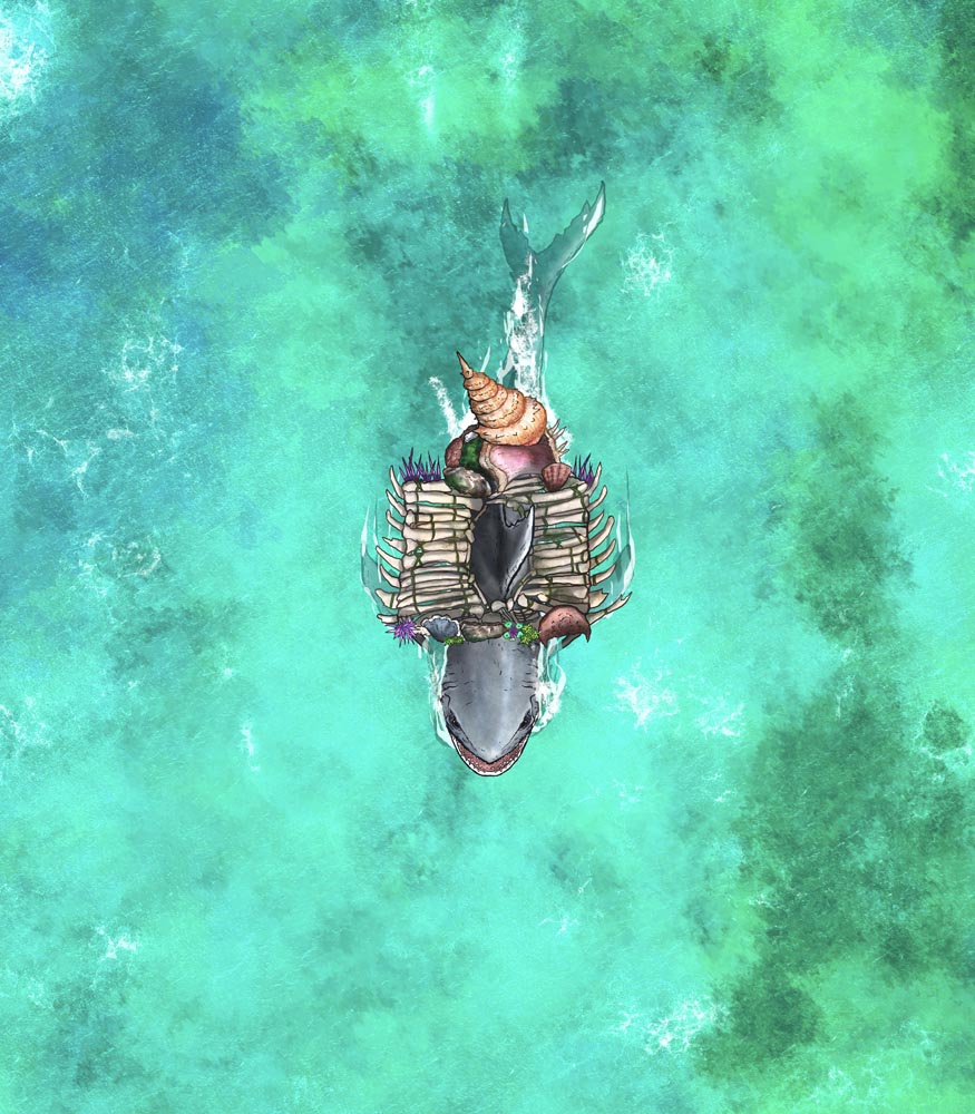Megalodon Sahuagin Warship