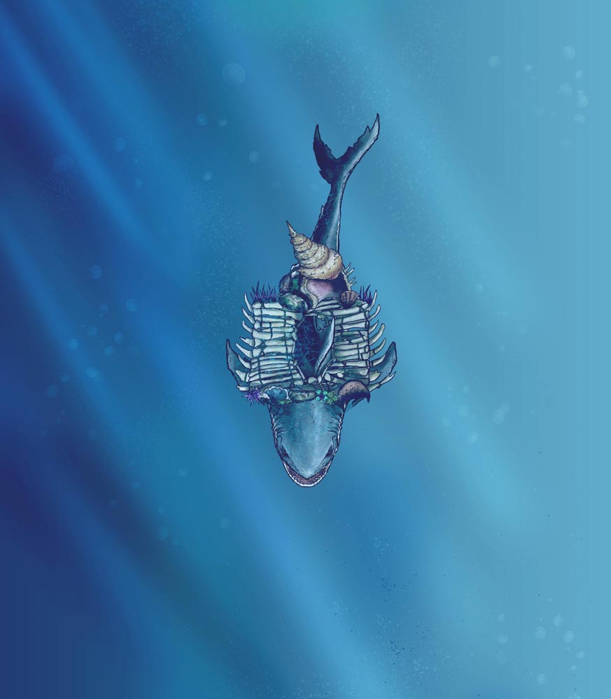 Megalodon Sahuagin Warship
