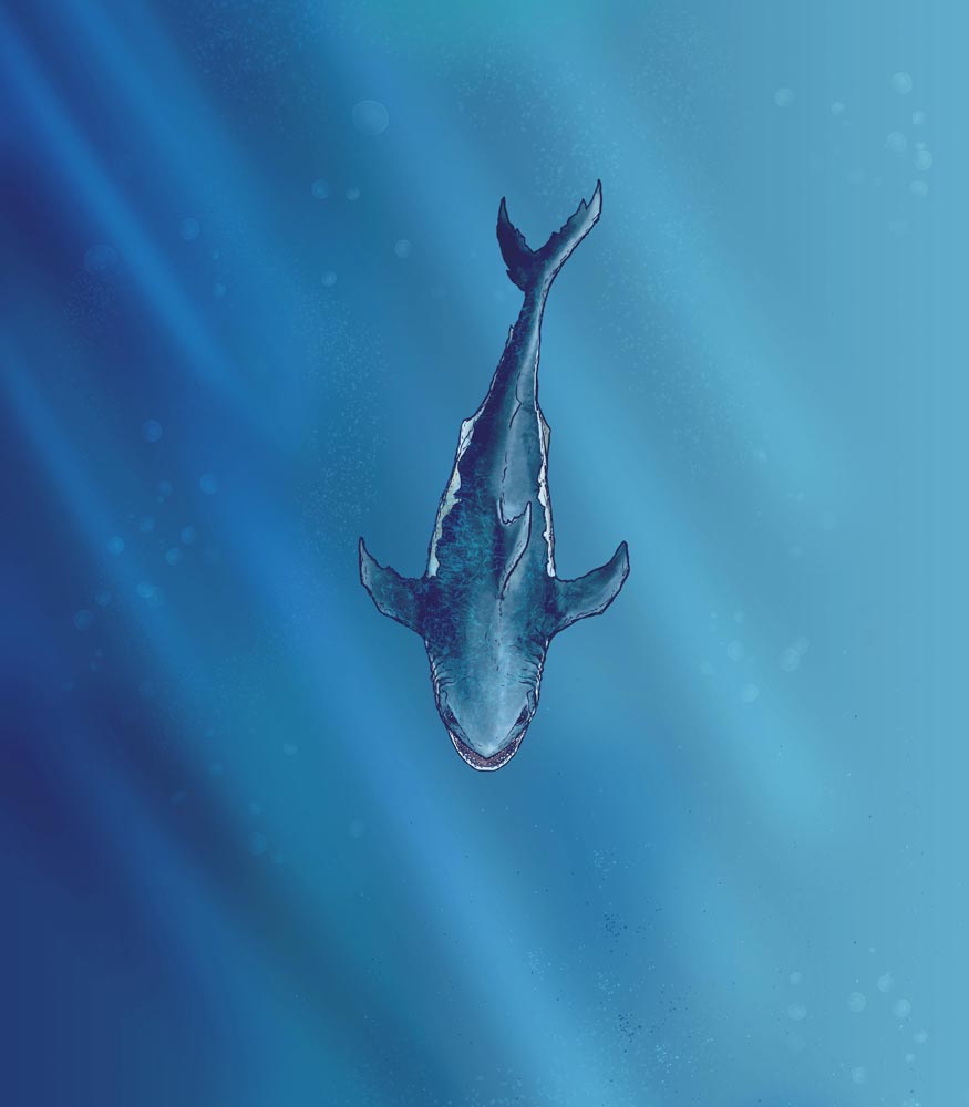 Megalodon Sahuagin Warship
