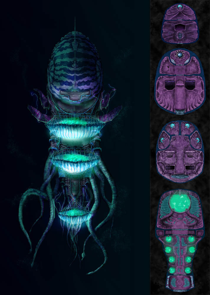 Nautiloid