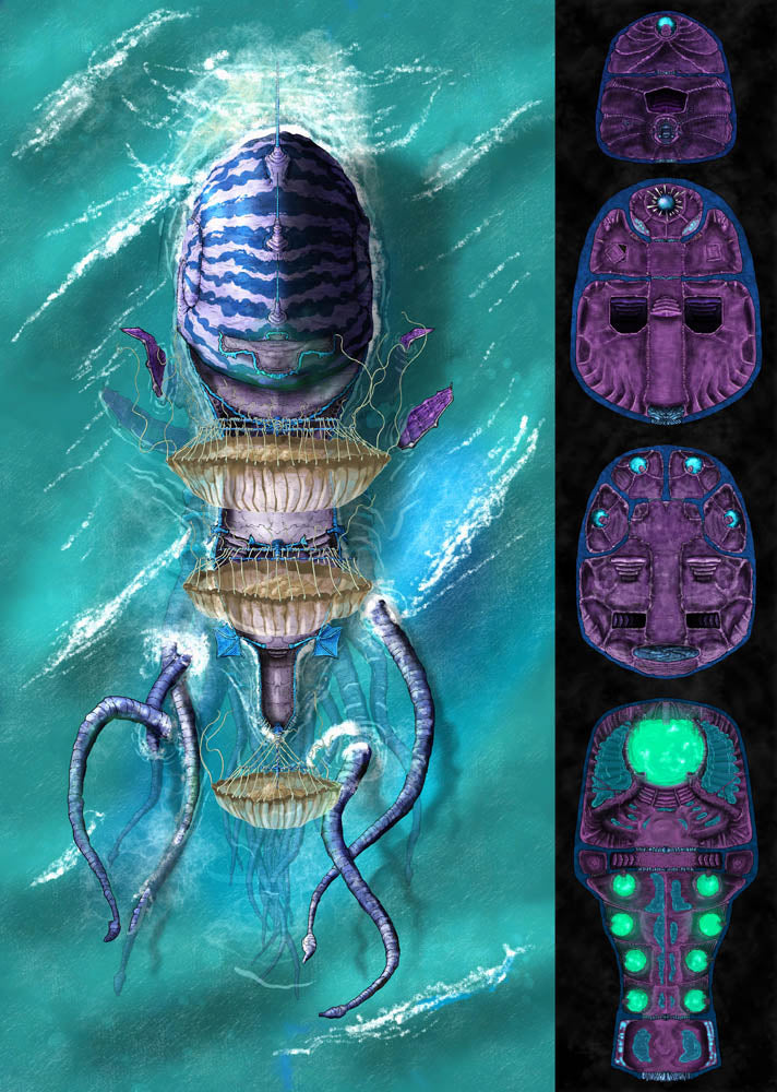 Nautiloid