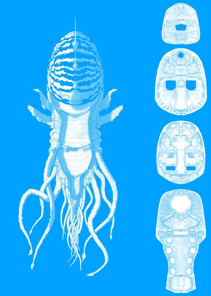 Nautiloid