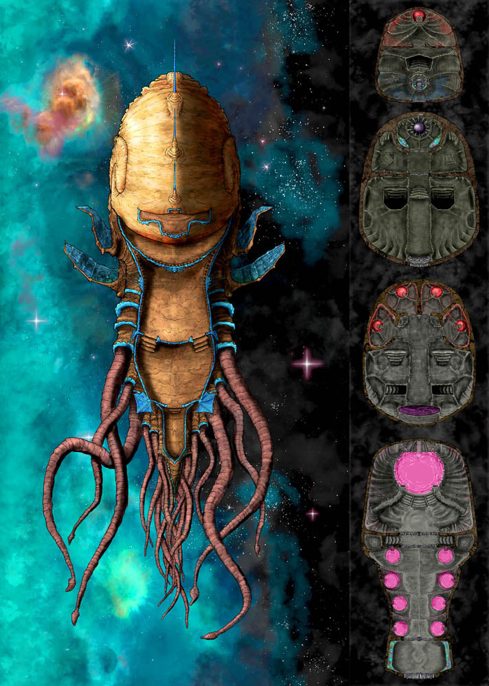 Nautiloid
