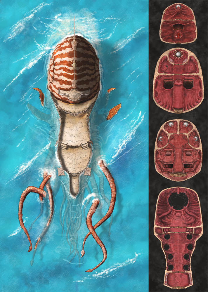 Nautiloid