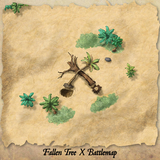 Treasure Map Kit