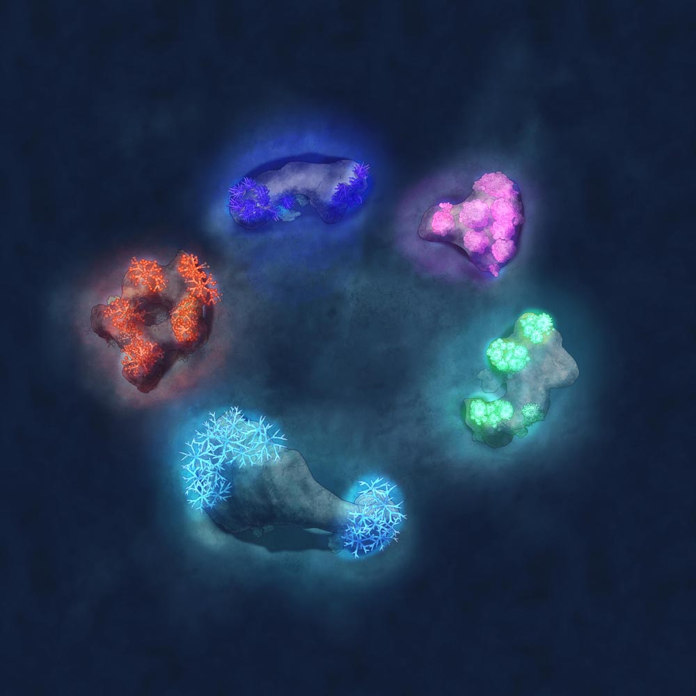 Coral Reef Asset Kit